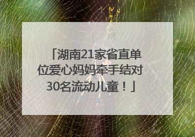 湖南21家省直单位爱心妈妈牵手结对30名流动儿童！