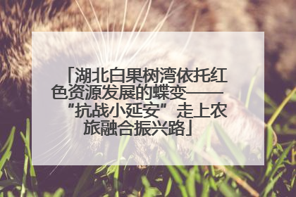 湖北白果树湾依托红色资源发展的蝶变——“抗战小延安”走上农旅融合振兴路