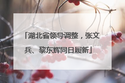 湖北省领导调整，张文兵、黎东辉同日履新