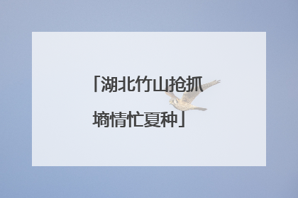 湖北竹山抢抓墒情忙夏种