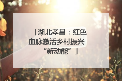 湖北孝昌：红色血脉激活乡村振兴“新动能”