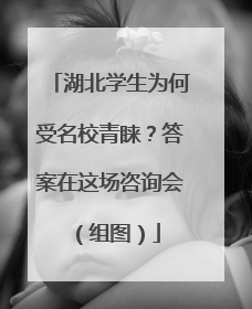 湖北学生为何受名校青睐？答案在这场咨询会（组图）