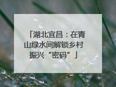 湖北宜昌：在青山绿水间解锁乡村振兴“密码”