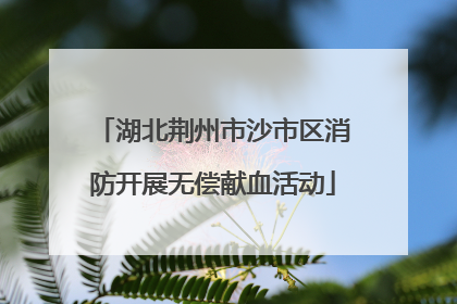 湖北荆州市沙市区消防开展无偿献血活动