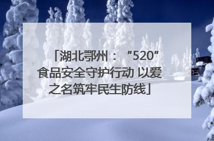 湖北鄂州：“520”食品安全守护行动 以爱之名筑牢民生防线