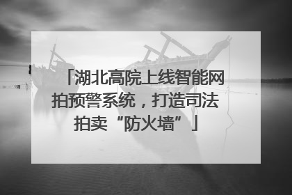 湖北高院上线智能网拍预警系统，打造司法拍卖“防火墙”