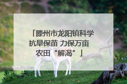 滕州市龙阳镇科学抗旱保苗 力保万亩农田“解渴”