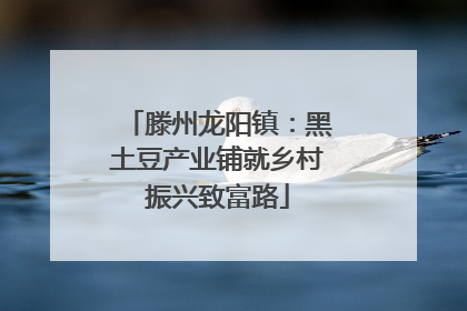 滕州龙阳镇：黑土豆产业铺就乡村振兴致富路