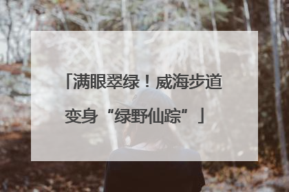 满眼翠绿！威海步道变身“绿野仙踪”