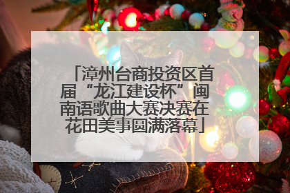 漳州台商投资区首届“龙江建设杯”闽南语歌曲大赛决赛在花田美事圆满落幕