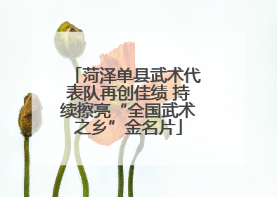 菏泽单县武术代表队再创佳绩 持续擦亮“全国武术之乡”金名片