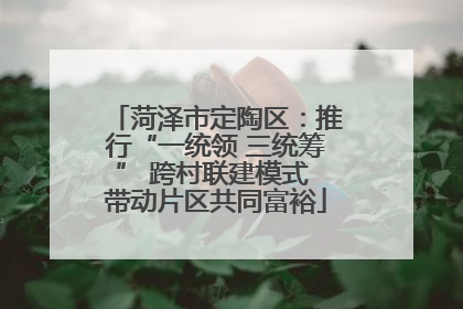 菏泽市定陶区：推行“一统领 三统筹” 跨村联建模式 带动片区共同富裕