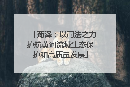 菏泽：以司法之力护航黄河流域生态保护和高质量发展