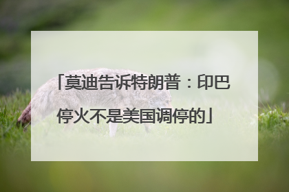 莫迪告诉特朗普：印巴停火不是美国调停的