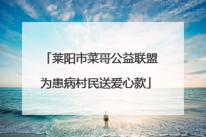 莱阳市菜哥公益联盟为患病村民送爱心款