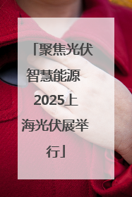 聚焦光伏智慧能源 2025上海光伏展举行