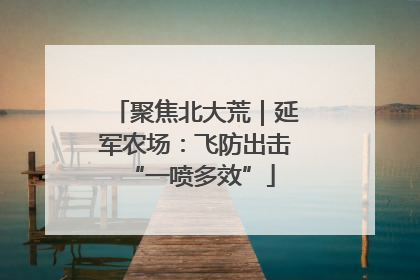 聚焦北大荒｜延军农场：飞防出击 “一喷多效”