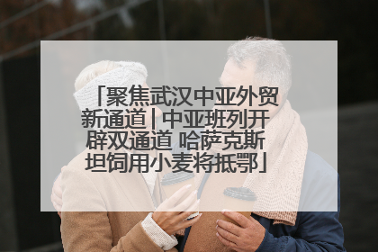 聚焦武汉中亚外贸新通道│中亚班列开辟双通道 哈萨克斯坦饲用小麦将抵鄂