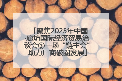 聚焦2025年中国·廊坊国际经济贸易洽谈会③一场“链主会” 助力厂商破圈发展