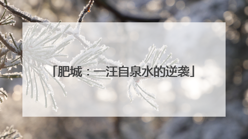 肥城：一汪自泉水的逆袭