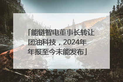 能链智电董事长转让团油科技，2024年年报至今未能发布