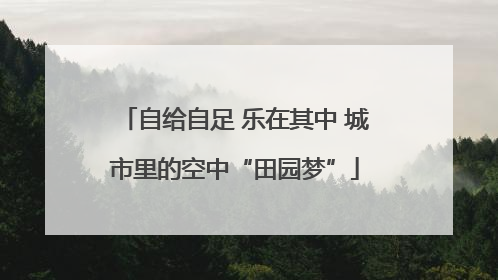 自给自足 乐在其中 城市里的空中“田园梦”