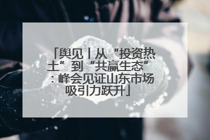 舆见丨从“投资热土”到“共赢生态”：峰会见证山东市场吸引力跃升