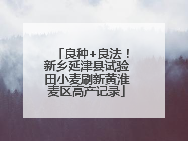 良种+良法！新乡延津县试验田小麦刷新黄淮麦区高产记录