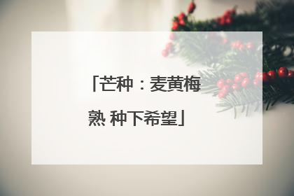 芒种：麦黄梅熟 种下希望