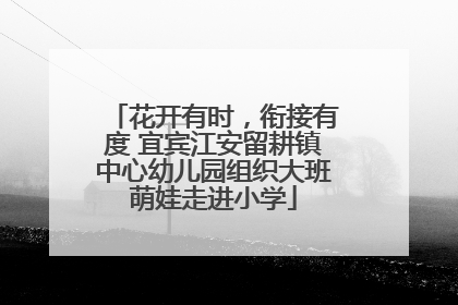 花开有时，衔接有度 宜宾江安留耕镇中心幼儿园组织大班萌娃走进小学