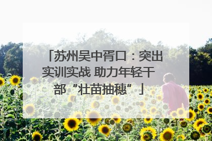 苏州吴中胥口：突出实训实战 助力年轻干部“壮苗抽穗”