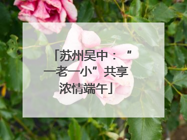 苏州吴中：“一老一小”共享浓情端午