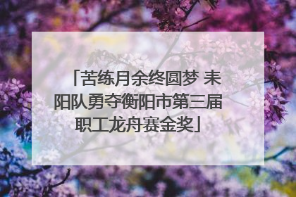 苦练月余终圆梦 耒阳队勇夺衡阳市第三届职工龙舟赛金奖