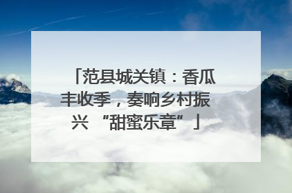 范县城关镇：香瓜丰收季，奏响乡村振兴 “甜蜜乐章”
