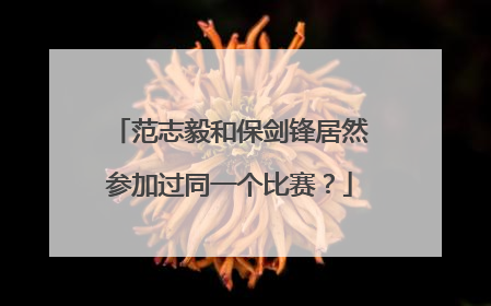 范志毅和保剑锋居然参加过同一个比赛？