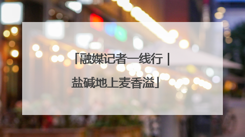 融媒记者一线行｜盐碱地上麦香溢