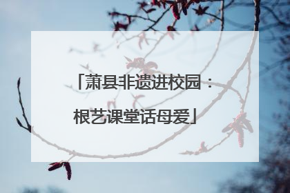 萧县非遗进校园：根艺课堂话母爱