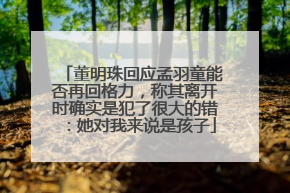 董明珠回应孟羽童能否再回格力，称其离开时确实是犯了很大的错：她对我来说是孩子