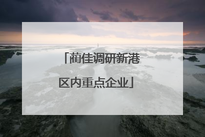 蔺佳调研新港区内重点企业