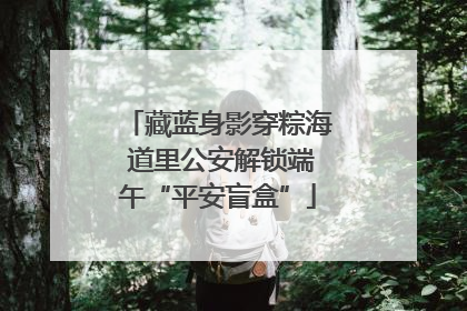 藏蓝身影穿粽海 道里公安解锁端午“平安盲盒”