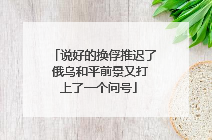 说好的换俘推迟了 俄乌和平前景又打上了一个问号