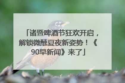 诸暨啤酒节狂欢开启，解锁微醺夏夜新姿势！《90早新闻》来了