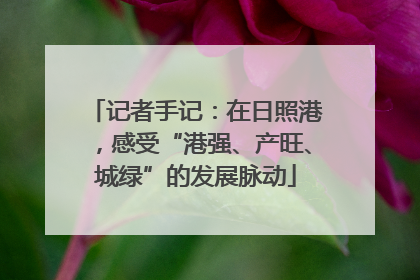 记者手记：在日照港，感受“港强、产旺、城绿”的发展脉动