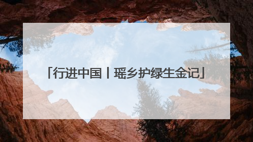行进中国丨瑶乡护绿生金记