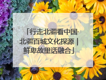 行走北疆看中国·北疆百城文化探源｜鲜卑故里话融合