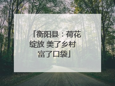 衡阳县：荷花绽放 美了乡村 富了口袋