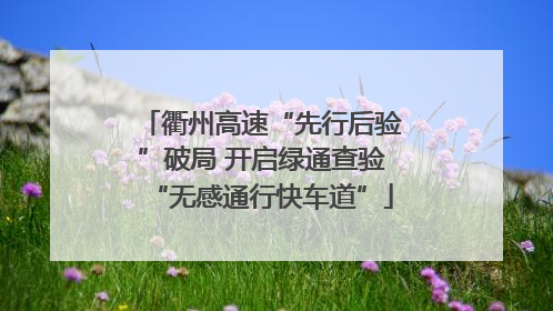 衢州高速“先行后验”破局 开启绿通查验“无感通行快车道”