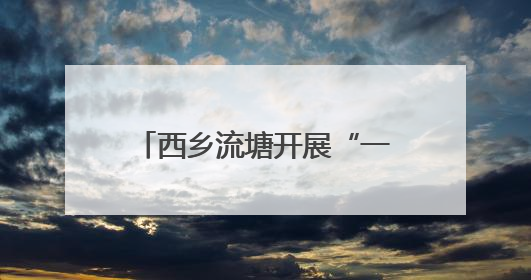 西乡流塘开展“一键下单·心愿速达”数字化平台宣传