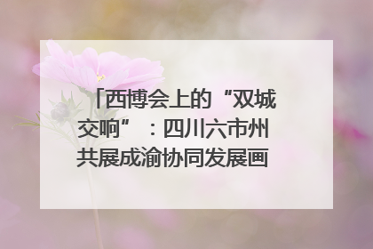 西博会上的“双城交响”：四川六市州共展成渝协同发展画卷｜西博视界