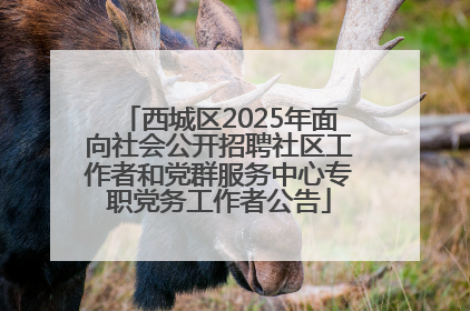 西城区2025年面向社会公开招聘社区工作者和党群服务中心专职党务工作者公告